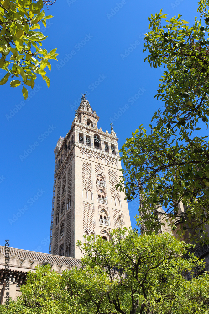Obraz premium Historical building Giralda tower in Seville Cathedral, Spain