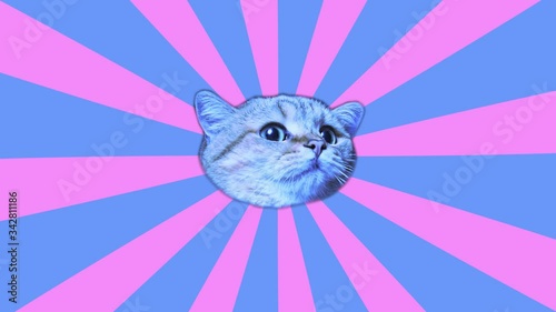 Animation motion design. Looping graphic animation in zin art style. Laser beams shoots from a cat's eyes. The head of a cat in tunnel colour space. Cool and the best moves in stylish of 80s and 90s