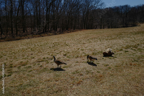 Nature valley farm trail