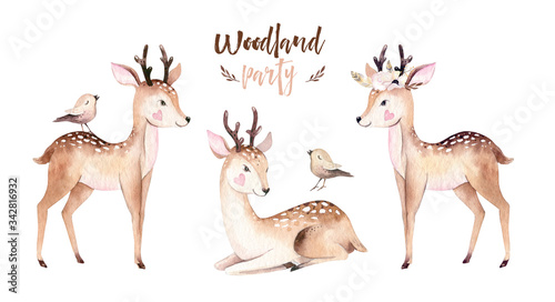 Woodland watercolor cute animals baby deer. Scandinavian cartoon forest nursery poster design. Isolated charecter
