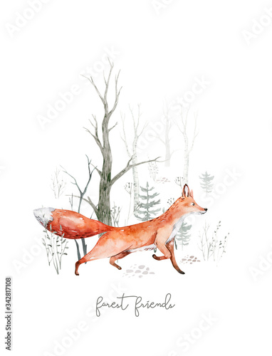 Woodland watercolor cute animals baby fox. Nursery bunny Scandinavian forest nursery fox design. Isolated character photo