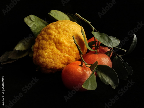 cedro e mandarini photo