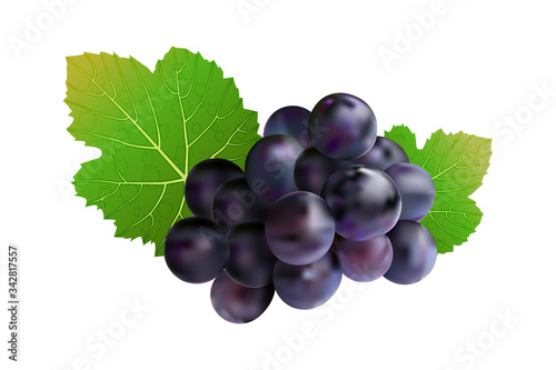 Grapes isolated on white background. Wine grapes icon. Bunch of purple grapes with leaf. Blue grape cluster with green leaves. For design element, label, cards. menu, poster, banner. Stock vector