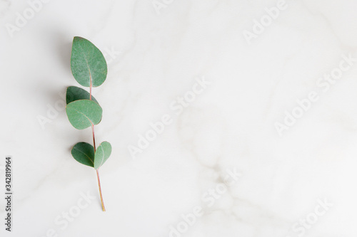 Marble stone blank  eucalyptus branches on pastel white background. Flat lay  top view  horizontal  copy space