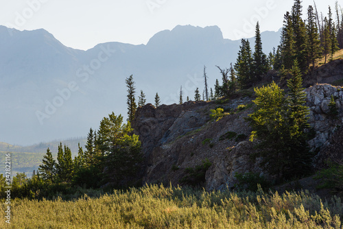 nature scenaries along the river Athabaska, Jasper National Park, Alberta, Canada photo