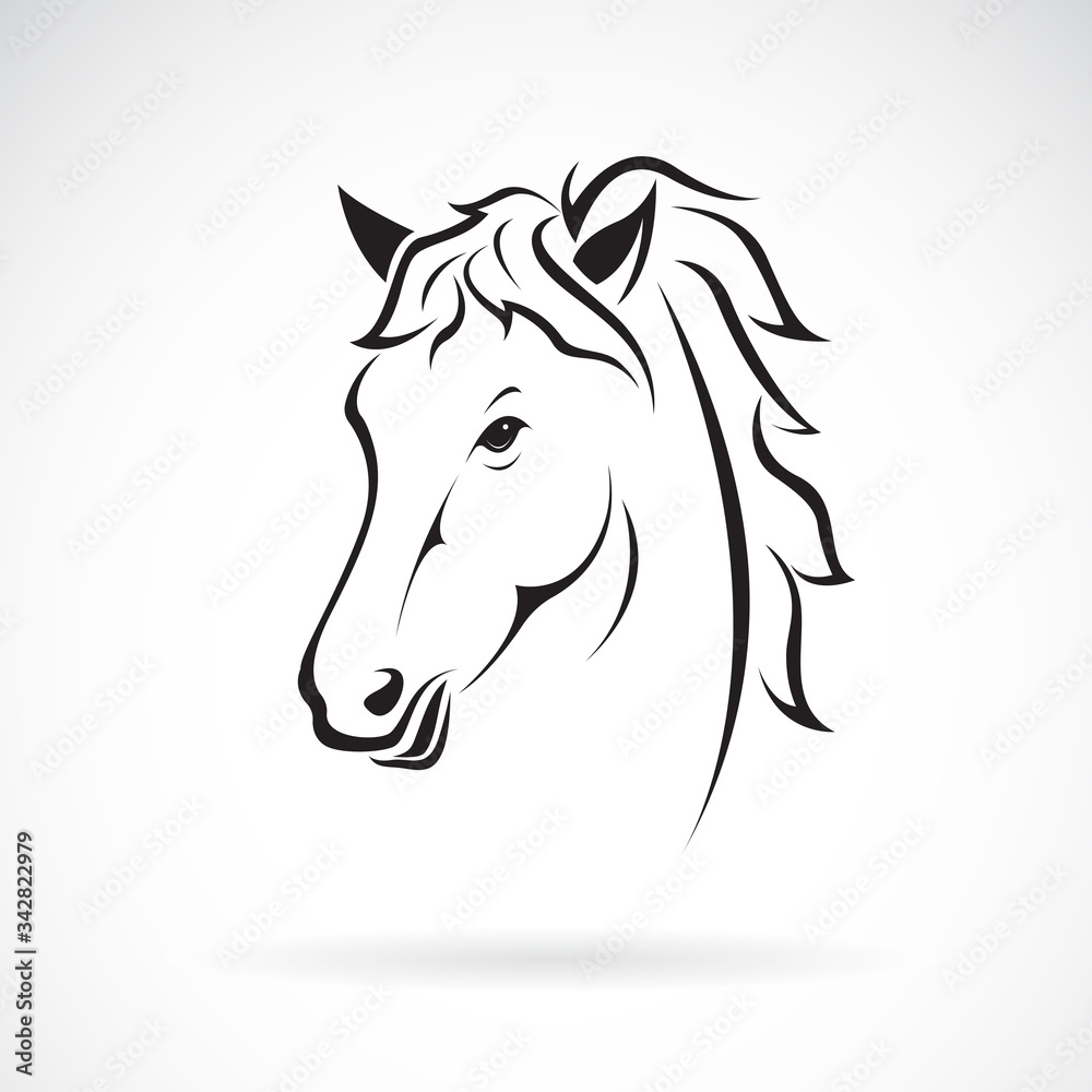 Vector of a horse head design. Farm Animal. Horses logos or icons. 