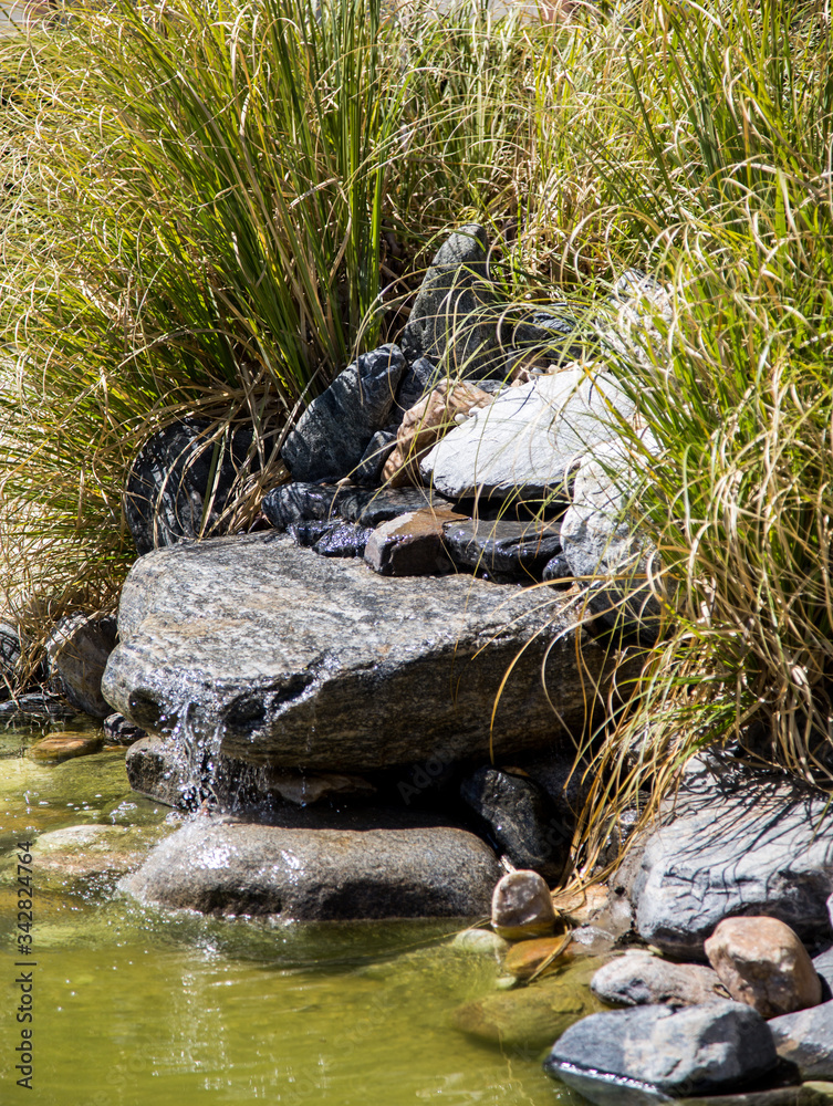 Fototapeta premium tree, spring, blossom, flower, cherry, pink, branch, sakura, nature, bloom, blooming, sky, plant, flowers, blue, beauty, beautiful, petal, season, garden, cherry blossom, bud, park, natural, japan