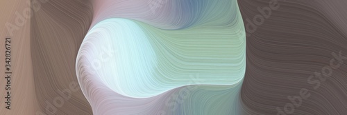 abstract modern designed horizontal header with dim gray, powder blue and ash gray colors. fluid curved flowing waves and curves