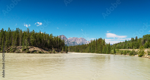 nature scenaries along the river Athabaska, Jasper National Park, Alberta, Canada photo