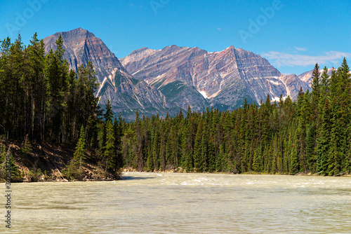 nature scenaries along the river Athabaska, Jasper National Park, Alberta, Canada photo