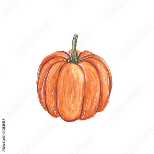 Watercolor illustration of a pumpkin on a white background