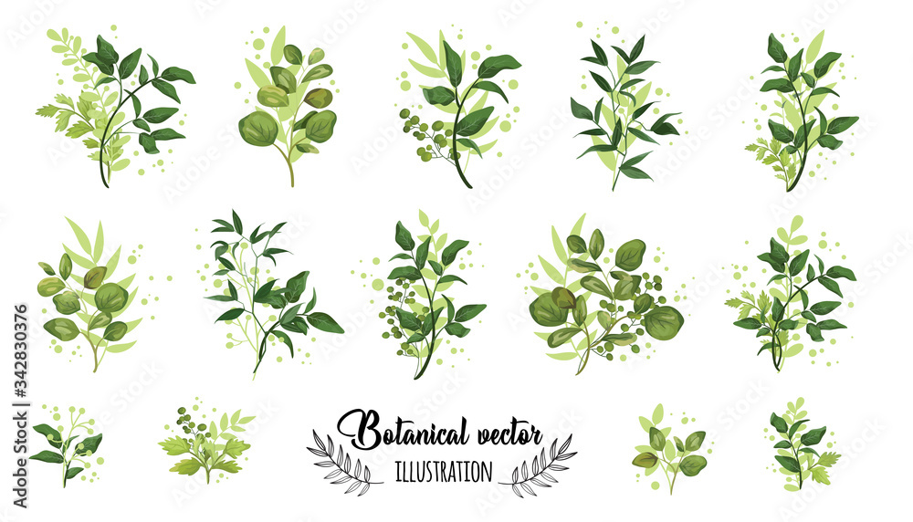 Collection romantic gold and green watercolor leaves. Elegant plants for design, brand name, wedding invitation thanks card on white background. Collection romantic gold and green watercolor leaves. Elegant plants for design, brand name, wedding invitation thanks card on white background.