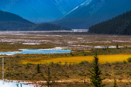 nature sceneries from the Athabaska riverbanks, Jasper, Alberta, Canada photo