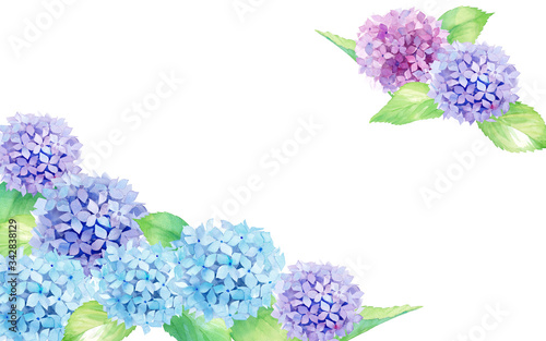 あじさいの水彩イラストの装飾フレーム Stock Illustration Adobe Stock あじさいの水彩イラストの装飾フレーム Stock Illustration Adobe Stock