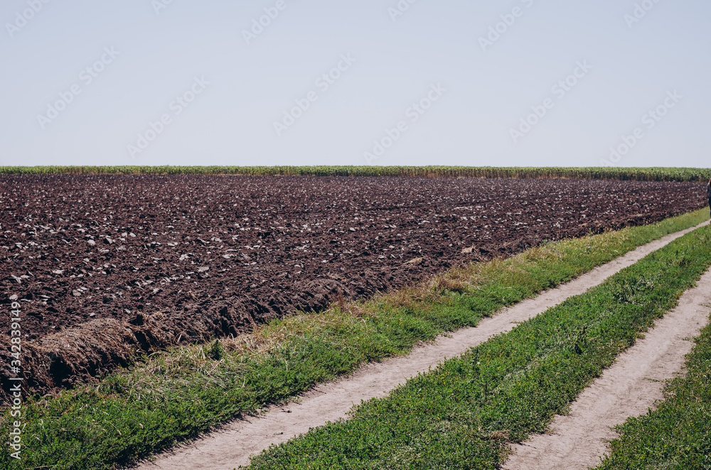 Black land for plant background. and dirt road in the field