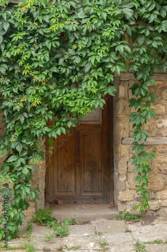 Doors in a stone wall overgrown with ivy © Vitaly