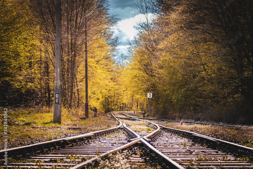Fototapeta premium railroad in autumn