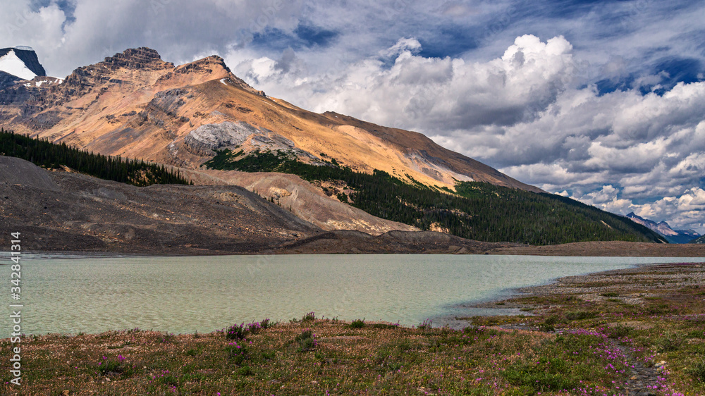 nature scenarios along the YellowHead Highway from Hinton to Jasper, Alberta, Canada