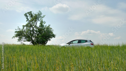 Quadro su tela A silver car in the middle of grass next to green tree