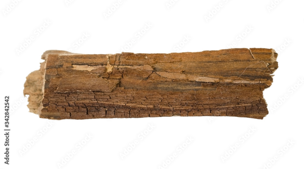 Fototapeta premium Wooden splinter or piece of bark isolated on white background. Item for mock up, scene creator and other design.