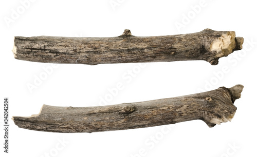 Tree branch or stick isolated on white background. Item for mock up, scene creator and other design