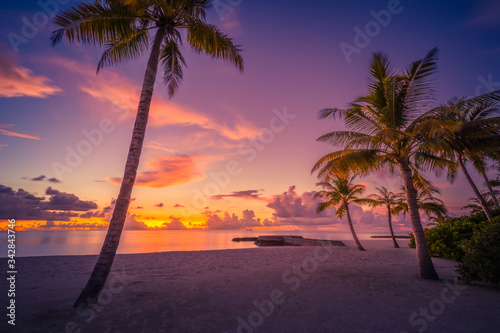 Palm trees under sunset sky colors clouds  horizontal beach background banner. Inspirational nature landscape  beautiful colors  wonderful scenery of tropical beach. Beach sunset of sea sand sky 