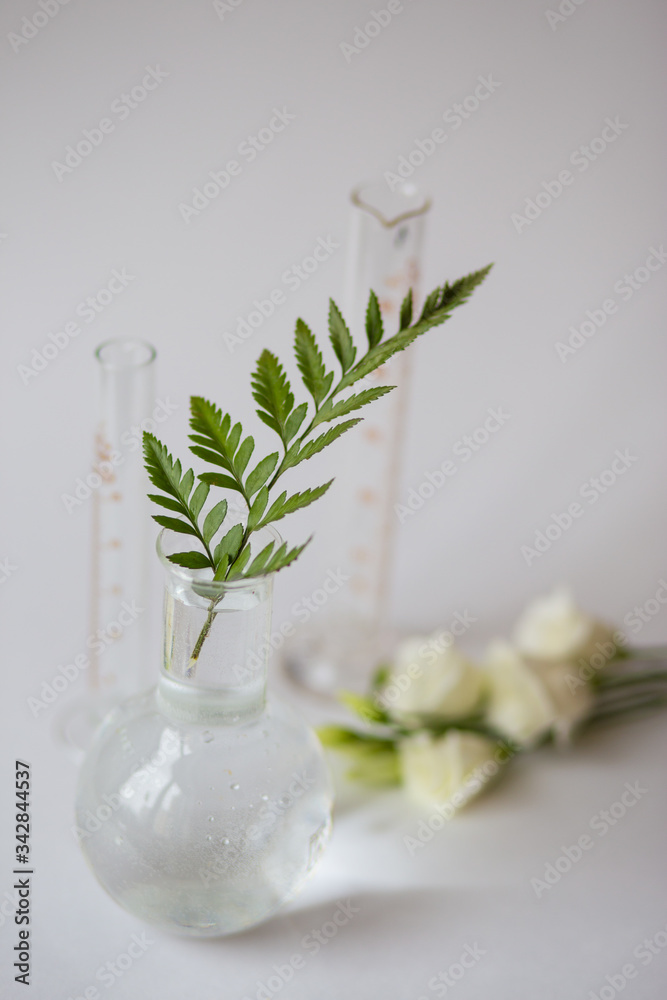 Green and white flowers grow in a glass beaker - obrazy, fototapety, plakaty 