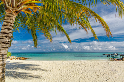 Palm trees on paradise beach with white sand and blue ocean lagoon. White clouds in blue sky
