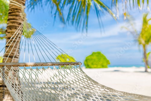 Fototapeta Naklejka Na Ścianę i Meble -  Beach hammock hanging on a palm tree on the Maldives. Chaise lounge, relaxation and calmness concept. Beach landscape, idyllic summer vacation and travel view
