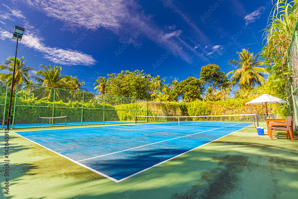 Amazing sport and recreational background as tennis court on tropical landscape, palm trees and blue sky. Sports in tropic concept

