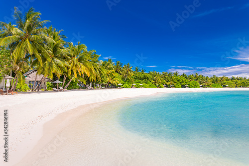 Summer background, tropical beach landscape. Palm tree over white sand with calm blue sea, turquoise lagoon. Luxury travel adventure and vacation background