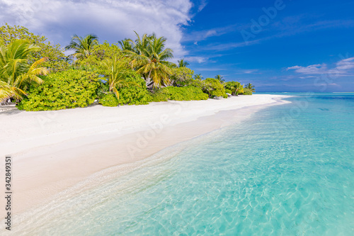 Fototapeta Naklejka Na Ścianę i Meble -  Beautiful beach with palm trees and moody sky. Summer vacation travel holiday background concept. Exotic paradise beach. Luxury travel summer holiday destination background

