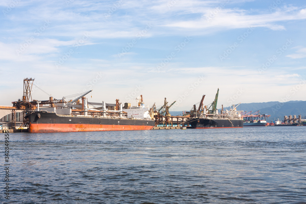Cargo ships being loaded in the port of Santos