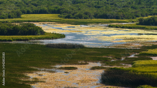 nature scenarios along the YellowHead Highway from Hinton to Jasper, Alberta, Canada