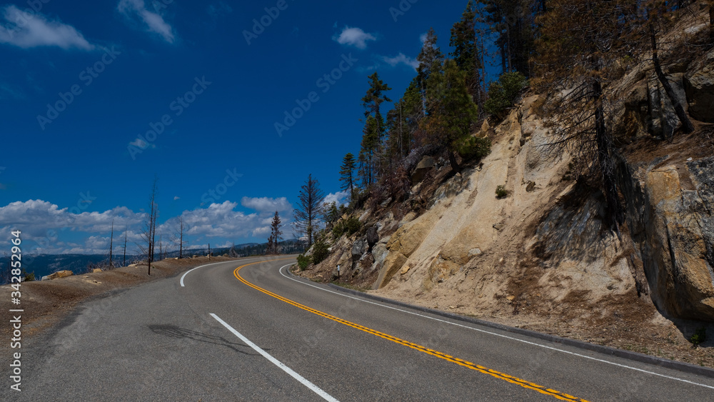Fototapeta premium eine asphaltierte kurvige Straße in Amerika