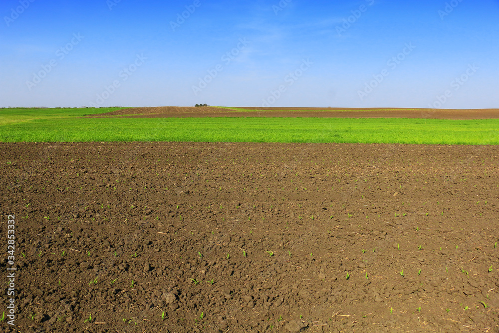 Plowed field in spring time with blue sky Plowed field in spring time with blue sky