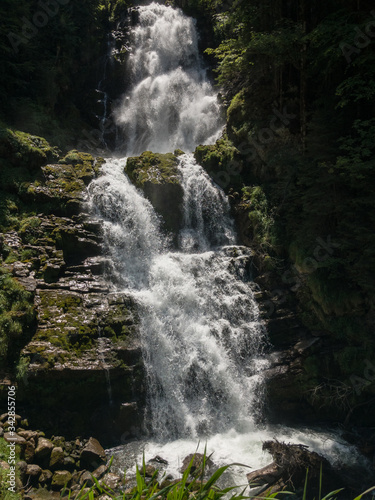 Waterfall in the forest at summer