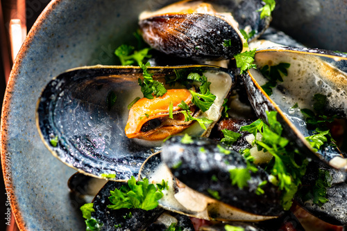 Cooked Blue mussels photo