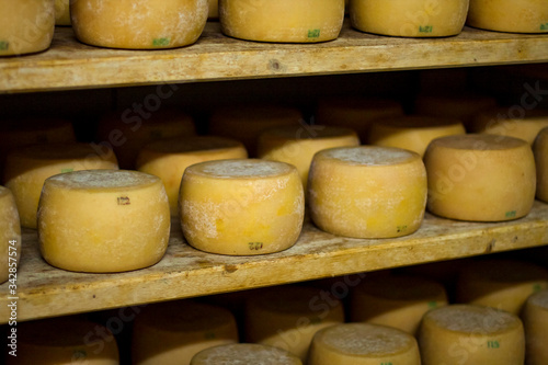 cheese production