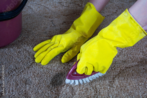 Women's hands in yellow gloves, wash the stains on the carpet