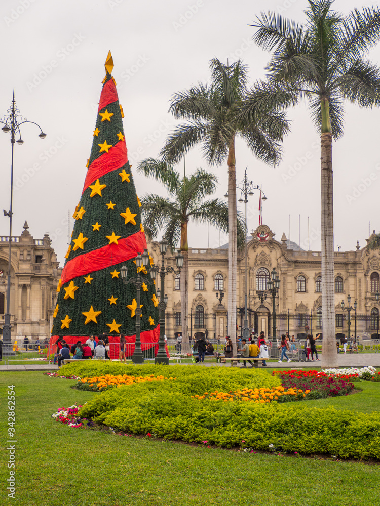 Fototapeta premium Christmas tree