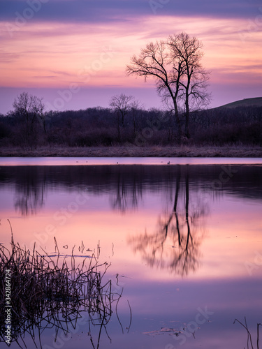 evening light over a lake
