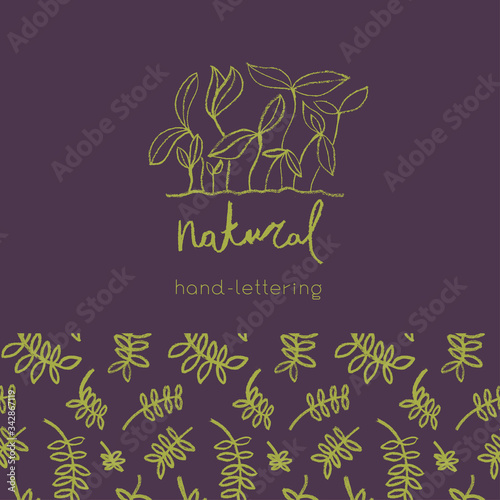 Vector herbal banner with drawings of herbs. Natural cosmetic label. Leaf silhouette for eco store, healthy food. Botanical background for bio pattern, herbal medicine with organic illustrations.