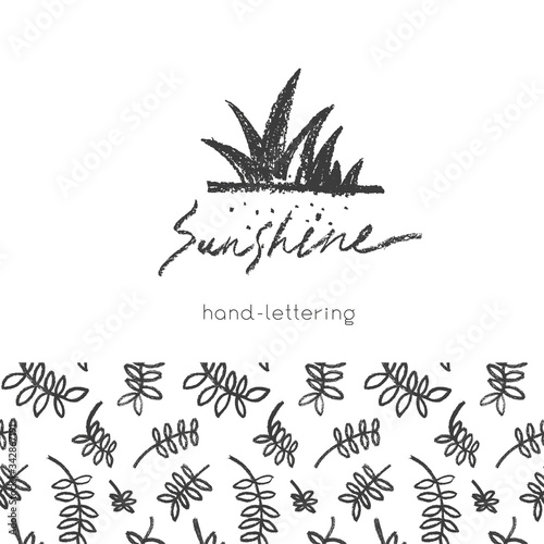 Vector herbal banner with drawings of herbs. Natural cosmetic label. Leaf silhouette for eco store, healthy food. Botanical background for bio pattern, herbal medicine with organic illustrations.