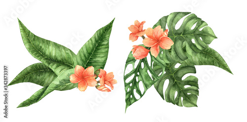 Watercolor palm leaf and tropical flowers set isolated on white background. Watercolor palm set. Botanical illustration set. Floral drawing. Use it for design, invitation, textile, website design.