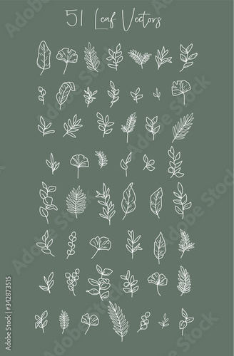 Set of White Leaves - 51 Different Leaf Vectors on Green Background