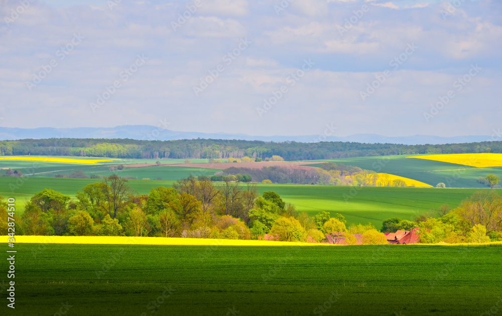 Fototapeta premium A beautiful german agriculture landscape with light and yellow rape fields