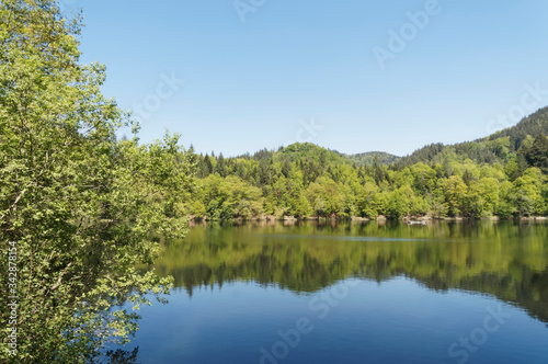 Naturpark Südschwarzwald. Stillen Wasser des Bergsee oberhalb Bad Säckingen und Gipfel Röthekopf unter einem frühlingsblauen Himmel in Baden-Wüttemberg
