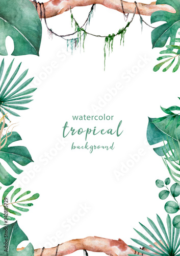 Jungle plam and leaves of tropical plants. Green rectangle horizontal floral frame with liana branches. Hand drawn watercolor exotic illustration. Space for text.