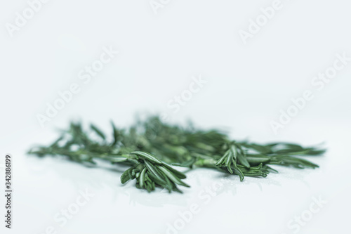 Freshly picked rosemary herbs. Green sprigs of rosemary isolated on a white background. Healthy food and culinary herbs.